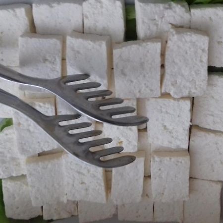 Garni Hotel Crystal Ice Ni Εξωτερικό φωτογραφία